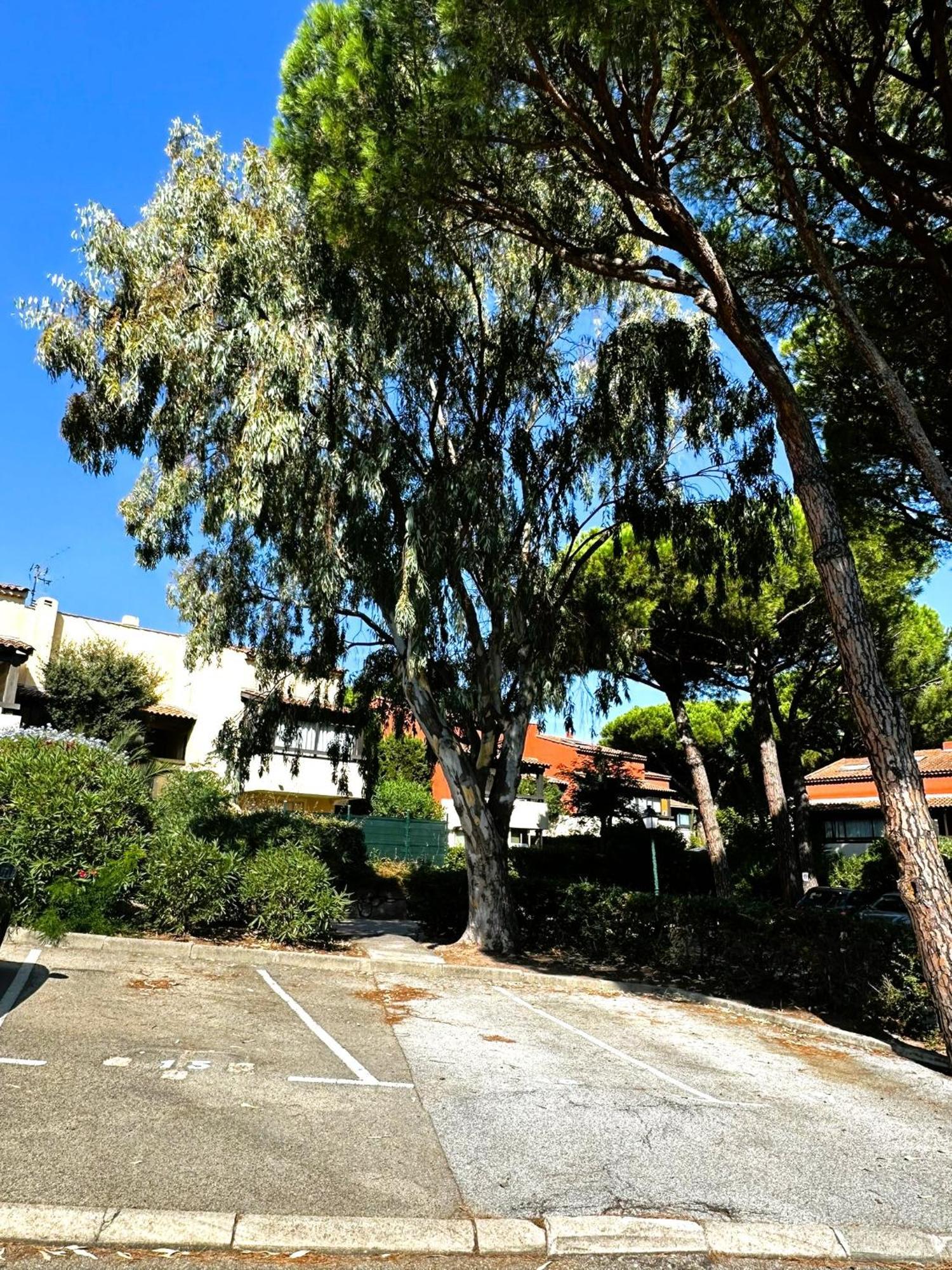 - 4 Personnes - Piscine Appartamento Fréjus